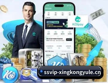 星空娱乐 APP 深度功能